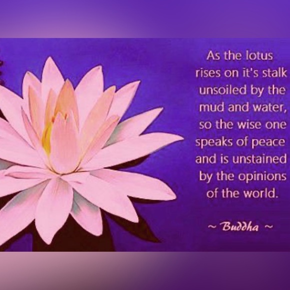 Like To Be Notified When I Am Live - Picture 2 of 3